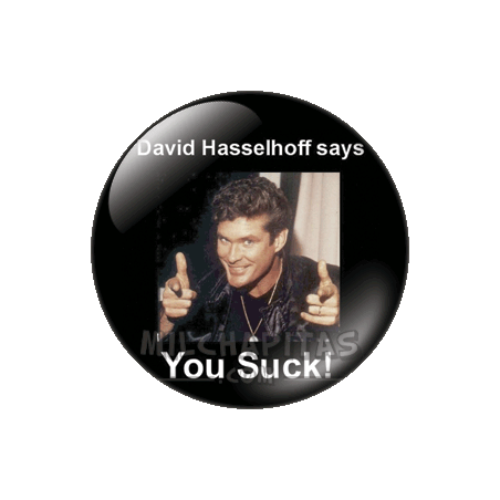 Chapa de Otros: David Hasselhoff