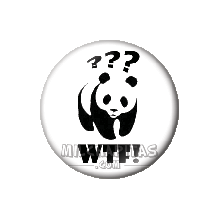 Chapa de Otros: What The Fuck!