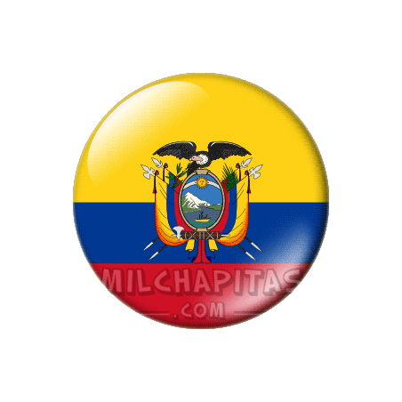 Chapa de América: Bandera de Ecuador