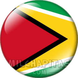 Bandera de Guyana