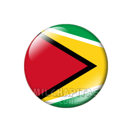 Chapa de América: Bandera de Guyana