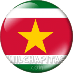 Bandera de Surinam