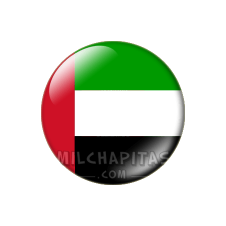 Chapa de Asia: Bandera de Emiratos Árabes Unidos