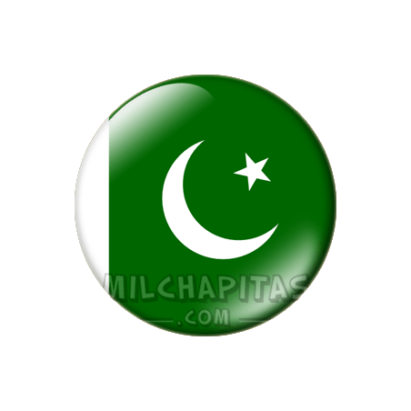 Chapa de Asia: Bandera de Pakistán