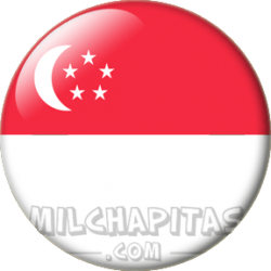 Bandera de Singapur