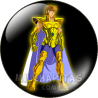 Chapa de Caballeros de Oro: Aioria de Leo