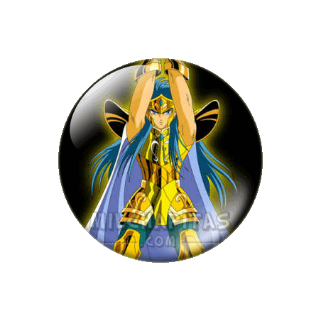 Chapa de Caballeros de Oro: Camus de Acuario
