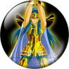 Chapa de Caballeros de Oro: Camus de Acuario