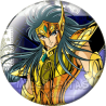 Chapa de Caballeros de Oro: Camus de Acuario 2