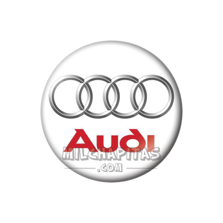 Chapa de Coches: Audi