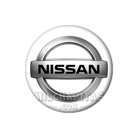 Chapa de Coches: Logo Nissan