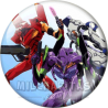 Chapa de Evangelion: Evangelion 12