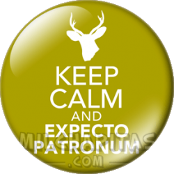 Keep Calm and expecto patronus