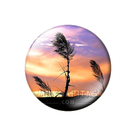 Chapa de Paisajes: Atardecer