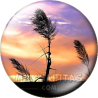 Chapa de Paisajes: Atardecer