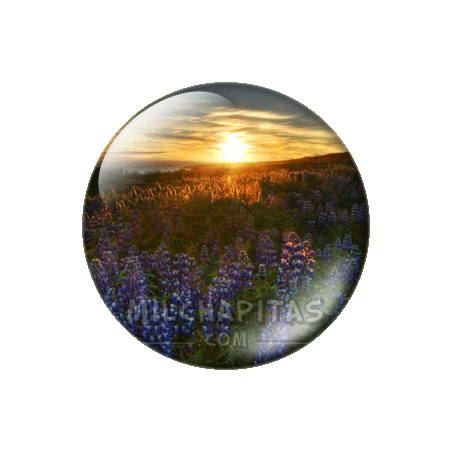 Chapa de Paisajes: Atardecer con flores