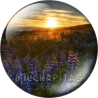 Chapa de Paisajes: Atardecer con flores