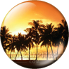Chapa de Paisajes: Atardecer con palmeras