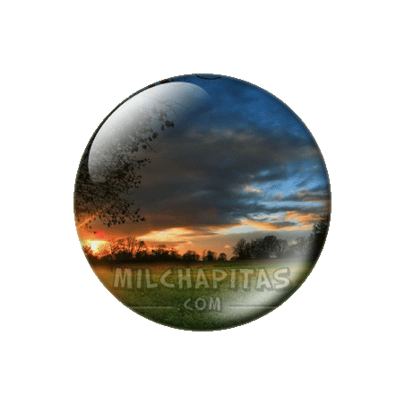 Atardecer en el campo