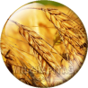 Chapa de Paisajes: Espigas 3