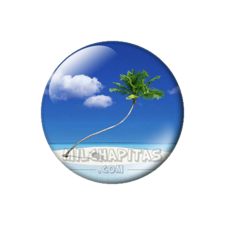 Chapa de Paisajes: Isla palmera
