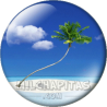 Chapa de Paisajes: Isla palmera