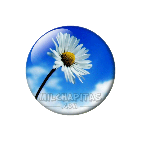 Chapa de Paisajes: Margarita solitaria