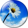 Chapa de Paisajes: Margarita solitaria
