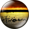 Chapa de Paisajes: Patos en el lago