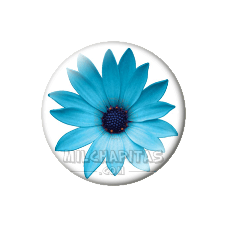 Flor azul