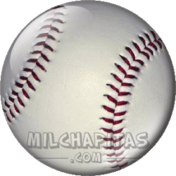 Pelota baseball