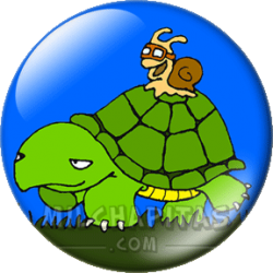 Tortuga y caracol