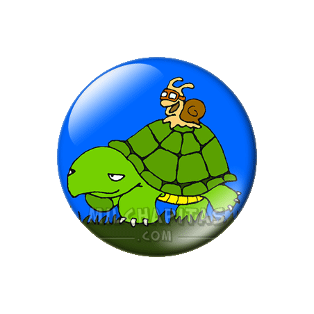 Tortuga y caracol