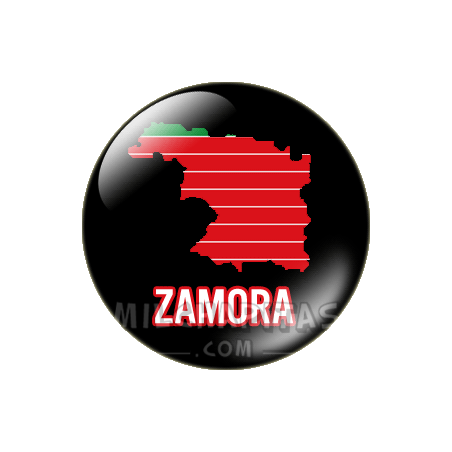 Chapa de Provincias: Provincia de Zamora