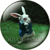 Chapa de Alicia en el País de las Maravillas: Conejo blanco