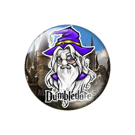 Chapa de Harry Potter: Dumbledore