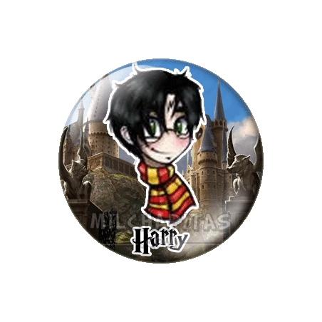 Chapa de Harry Potter: Harry Potter