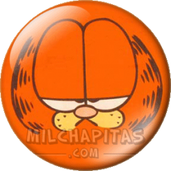 Cara de Garfield