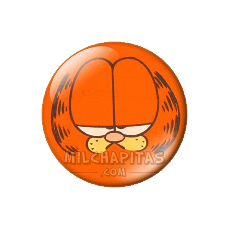 Cara de Garfield