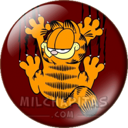 Garfield arañándote la chapa