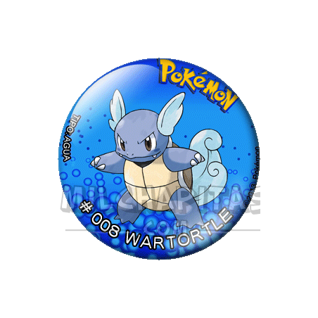 008 Wartortle