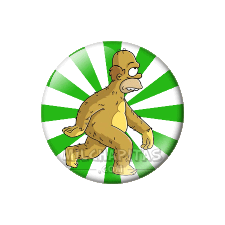 Chapa de Los Simpsons: Homer evolución 4