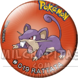 019 Rattata