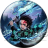 Tanjiro Kamado (Respiración de Agua)
