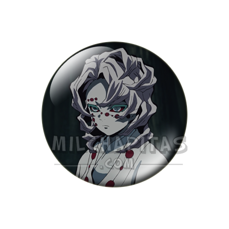 Rui (familia araña)