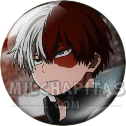 Shoto Todoroki (Retrato)