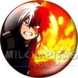Shoto Todoroki (Puño...