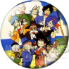 Chapa de Dragon Ball: Antes del primer torneo