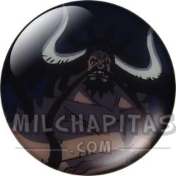 Chapa de One Piece: Kaido