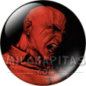 Chapa de DC Comics: Lex Luthor (Furia)